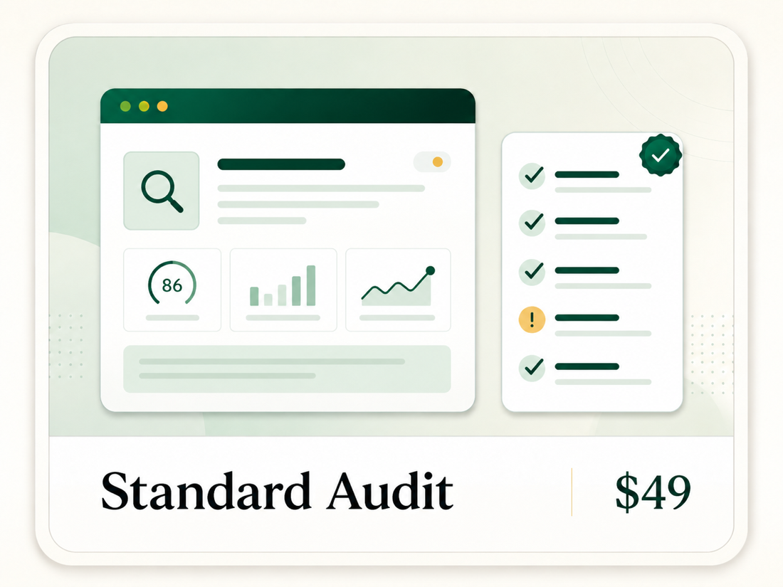 Standard audit report preview with prioritized public-site findings.